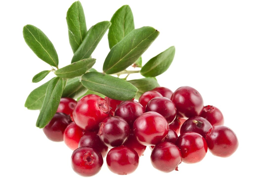 Cranberry zur Behandlung von Blasenentzündung