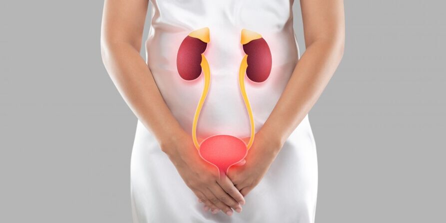 Bei der weiblichen Zystitis handelt es sich um eine Entzündung, die im Gewebe der Blase auftritt. 
